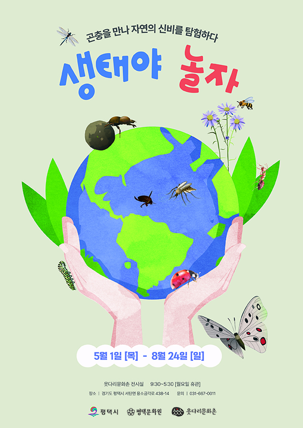 썸네일이미지